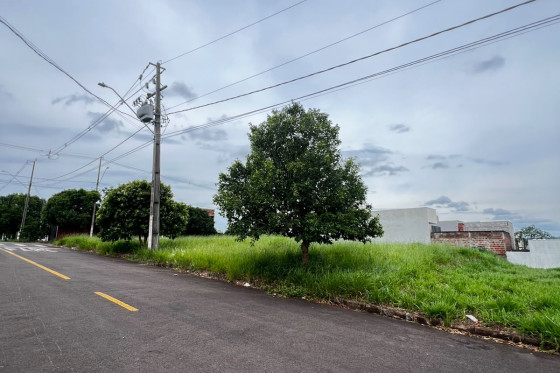 Terreno à venda - 158.70m² - Jardim Tokio, Umuarama-PR